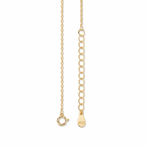 Classic Heart Necklace